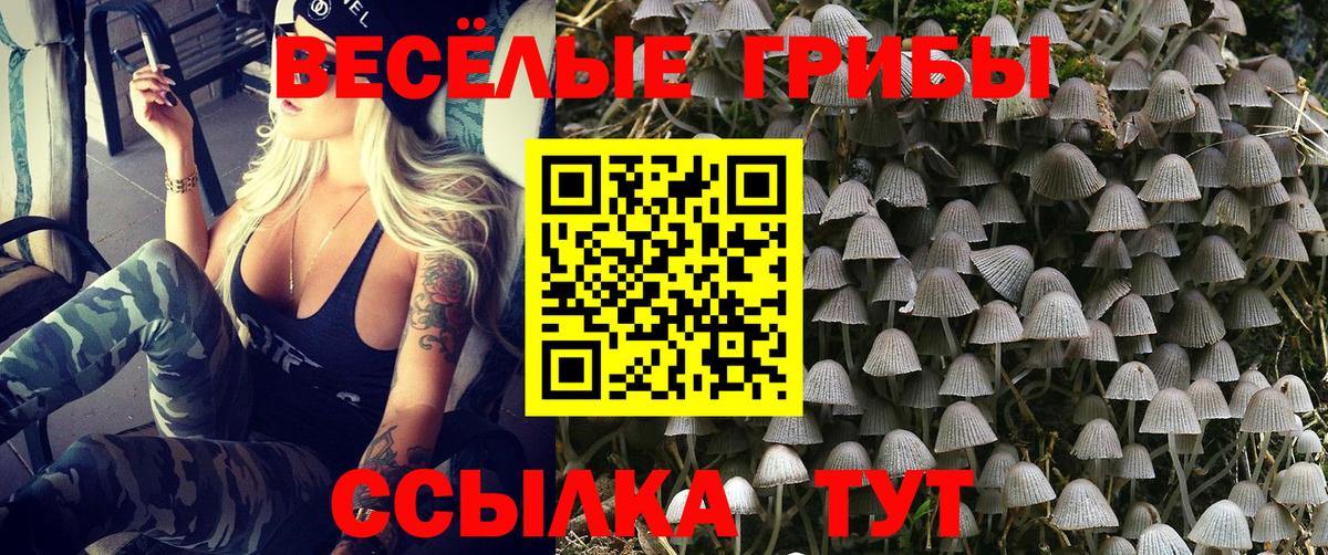 как найти закладки  Псилоцибиновые грибы Psilocybine cubensis  Псилоцибиновые грибы MAGIC MUSHROOMS  Вход с VPN  Химки 